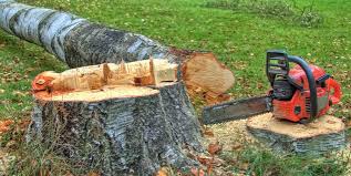 Best Tree Removal Services  in Ellisburg, NJ